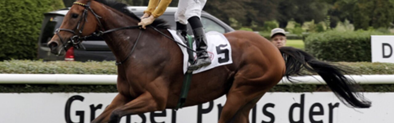 © GALOPPFOTO.DE