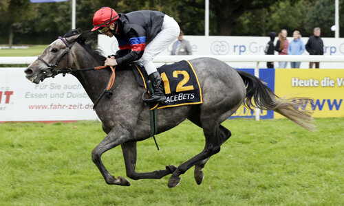 © GALOPPFOTO.DE
