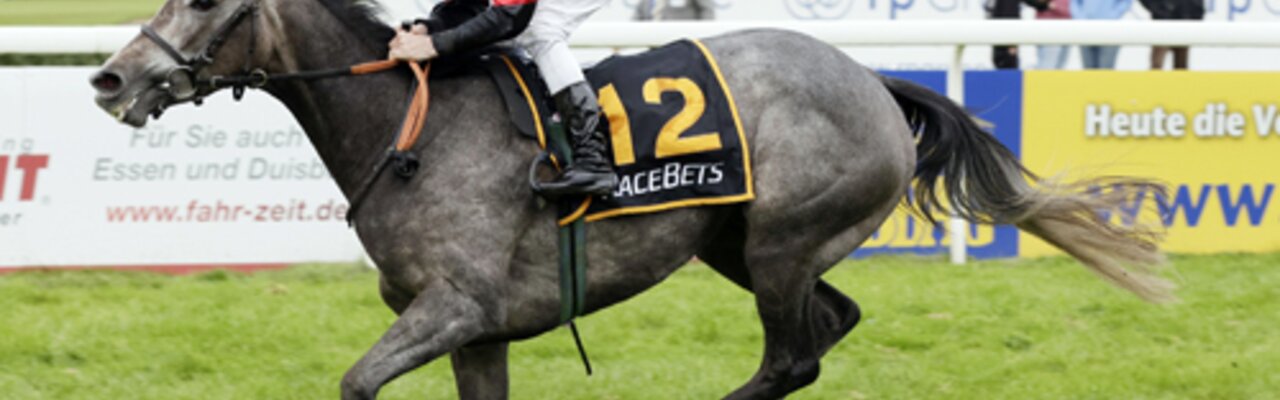 © GALOPPFOTO.DE