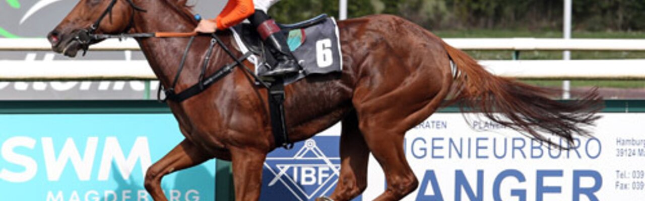 © Galoppfoto.de