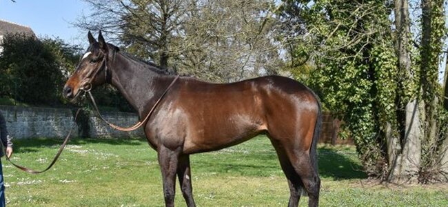 © I WANT THE WINNER: TAKACHIHO