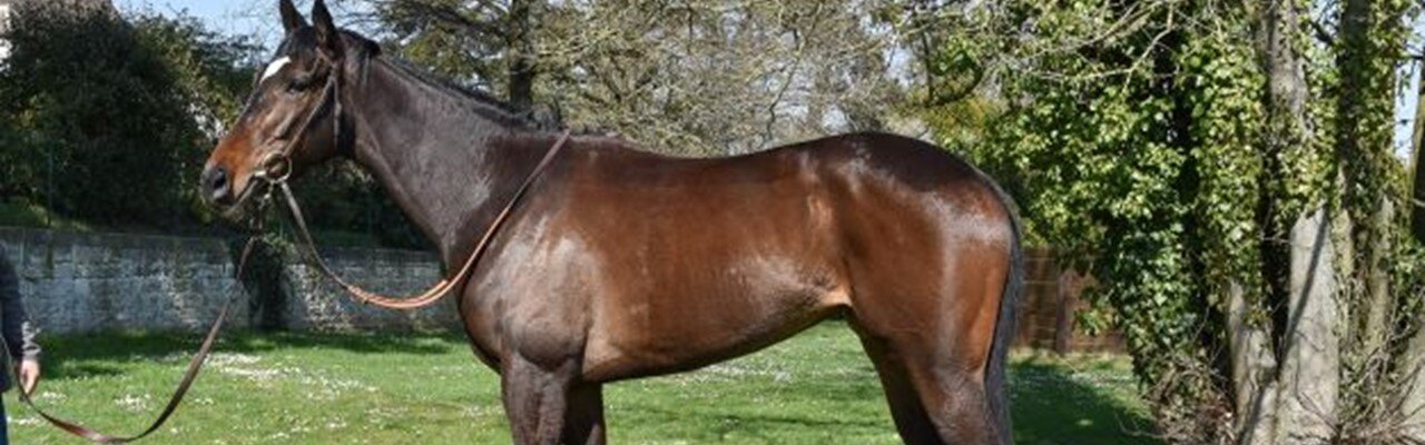 © I WANT THE WINNER: TAKACHIHO