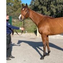 © I want the Winner