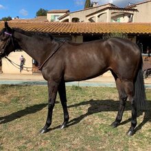 © I want the winner