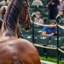 © KEENELAND