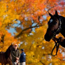 © KEENELAND