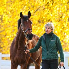 © TATTERSALLS ASCOT