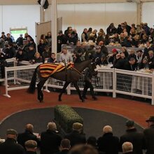 © TATTERSALLS CHELTENHAM
