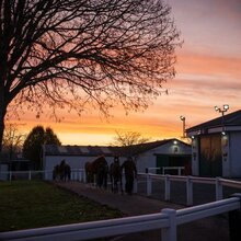 © TATTERSALLS IRELAND